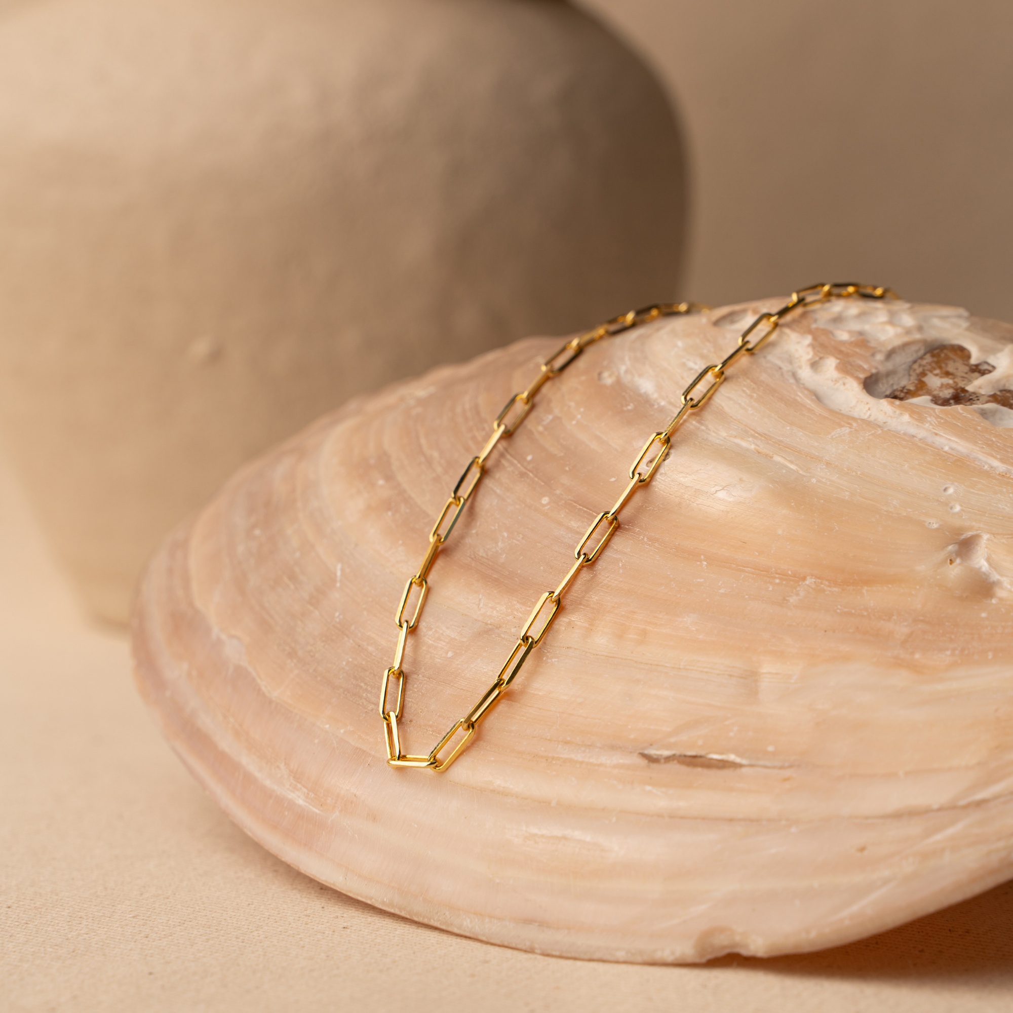 Paperclip Chain Necklace – UXV Jewelry