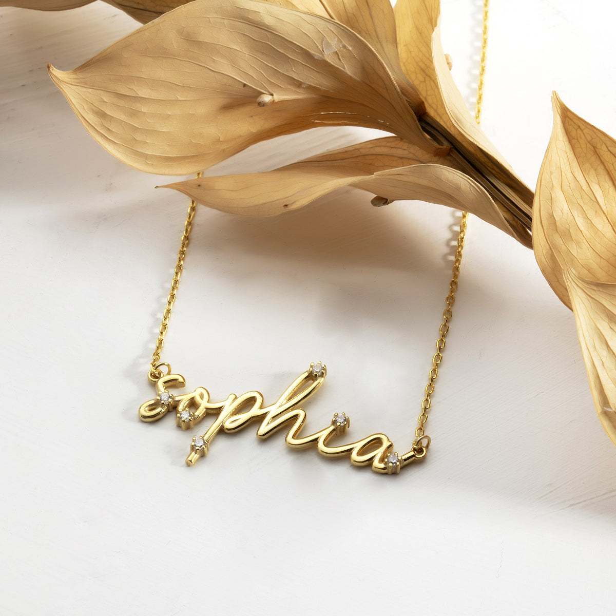 Personalized name necklace for women close-up with CZ stones and dried leaves