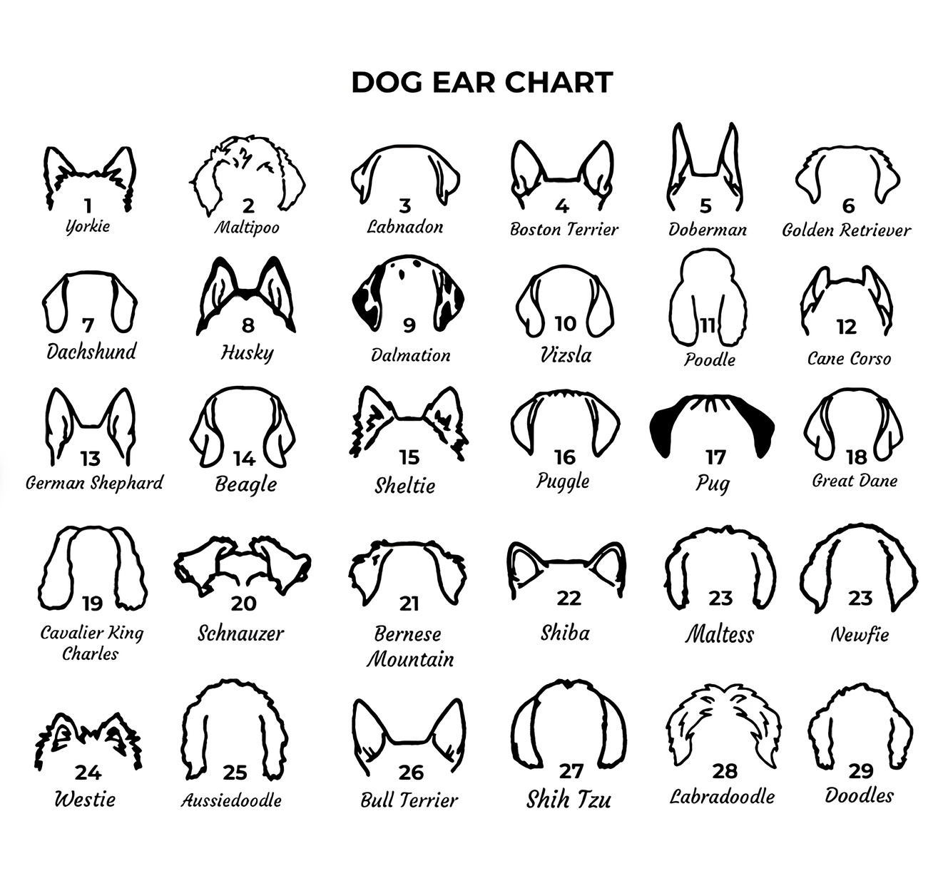 Dog Name Necklace – Personalized Pet Jewelry in Gold Vermeil by UXV