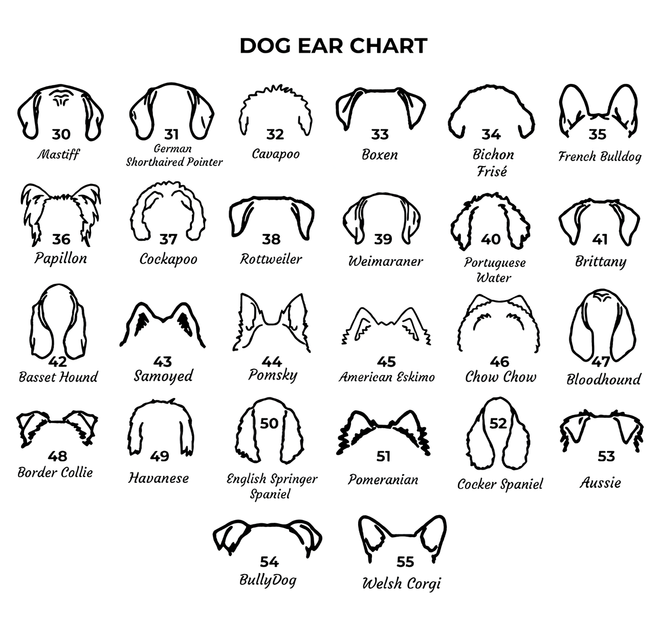 Dog Name Necklace – Personalized Pet Jewelry in Gold Vermeil by UXV