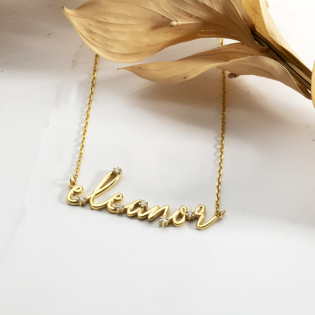 14K gold vermeil sparkle name necklace on cable chain with dried leaves
